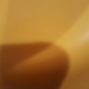 Meet your Posher, Anita