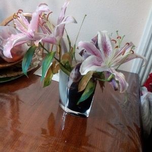 Meet your Posher, Summer