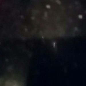 Meet your Posher, Zoe