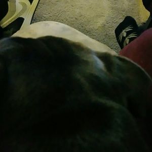 Meet your Posher, Charlie