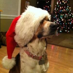 Meet your Posher, Caitlin