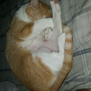 Meet your Posher, Luz