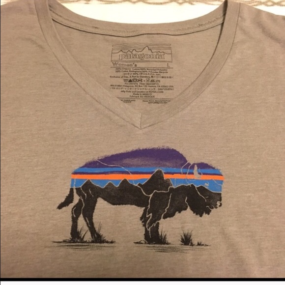 Patagonia T-shirt