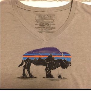 Patagonia T-shirt