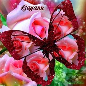 Meet your Posher, Gayann