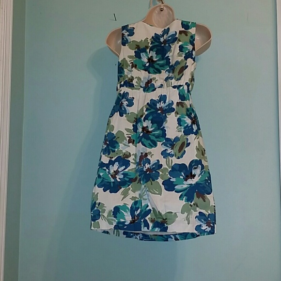 💥💥Anna Taylor  Loft  Dress With Blue Flowers - Picture 2 of 4