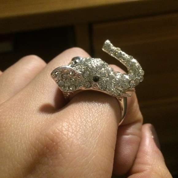 Elephant ring