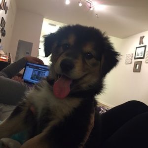 Meet your Posher, Lisa