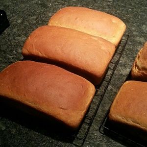 Meet your Posher, Bryce