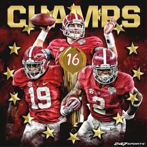 Meet your Posher, Sheila