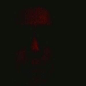 Meet your Posher, Marlene