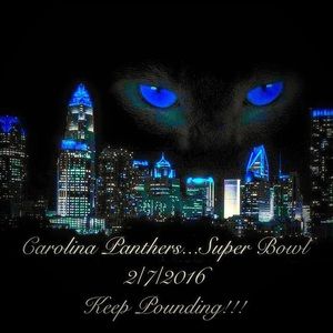 Meet your Posher, Deana