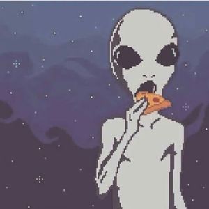 Meet your Posher, Oscar