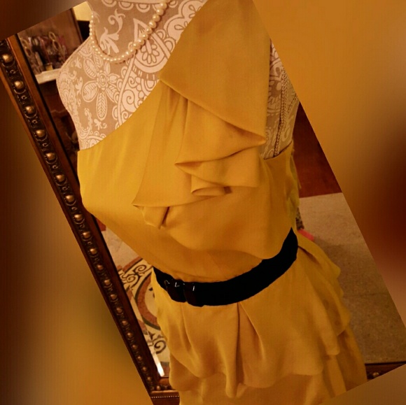 ONE DAY SALE BCBG AMAZING SILKY  DRESS - Picture 2 of 4