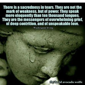 Meet your Posher, Ellen