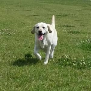 Meet your Posher, Janet