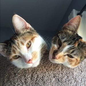 Meet your Posher, Jayne