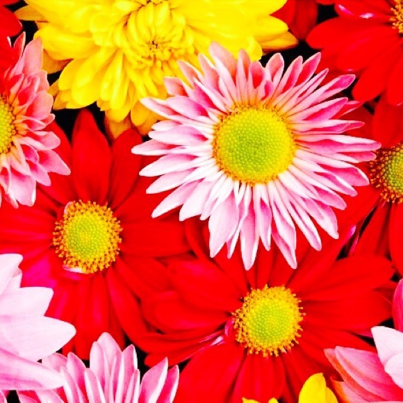 Meet your Posher, Tori - Picture 8 of 8