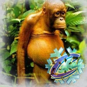 Meet your Posher, Isaac