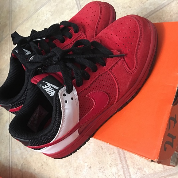 Nike dunks 4y