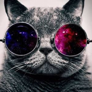 Meet your Posher, Vy