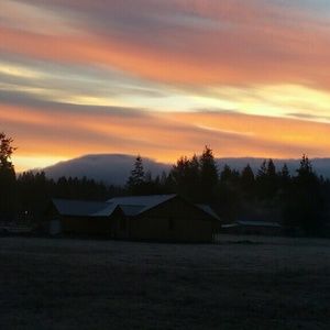 Meet your Posher, Mariah