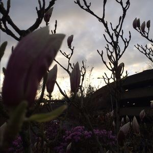 Meet your Posher, Morgan