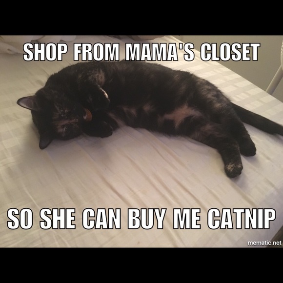 Love The Cat Says Time To Shop! MAKE OFFERS!!