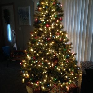 Meet your Posher, Carolyn