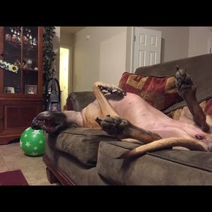 Meet your Posher, Nichole