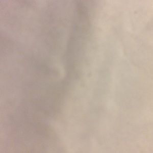 Meet your Posher, Hattie