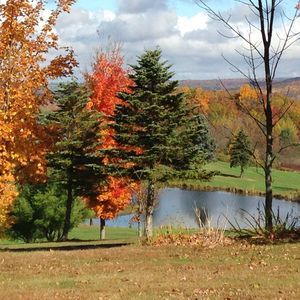 Meet your Posher, Loreen