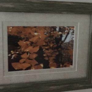 Meet your Posher, Kelli