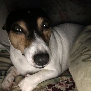 Meet your Posher, Joanna