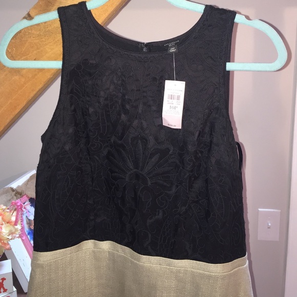 ANN TAYLOR NWT GORG Black and Tan Dress
