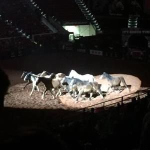 Meet your Posher, Fallon