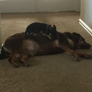 Meet your Posher, Martina