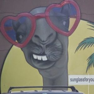 Meet your Posher, Lea