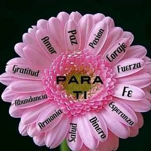 Meet your Posher, Ingris