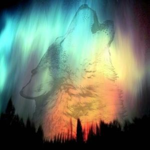 Meet your Posher, Kiena