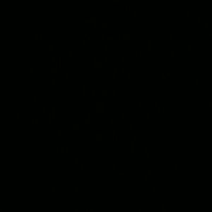 Meet your Posher, Dee