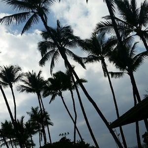 Meet your Posher, Kathryn