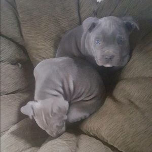 Meet your Posher, Brittany