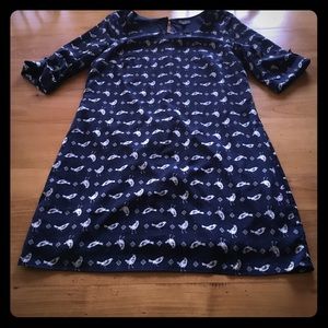 Blue Bird Shift Dress