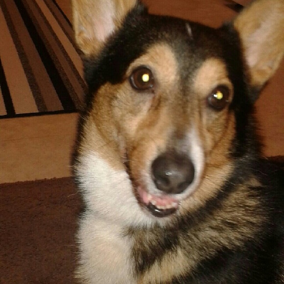 Meet your Posher, Mildred - Picture 2 of 2