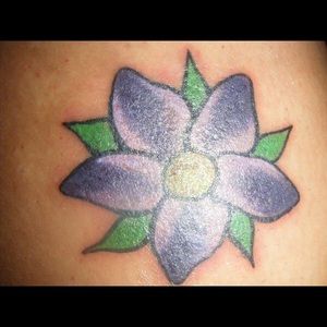 Meet your Posher, Dawn