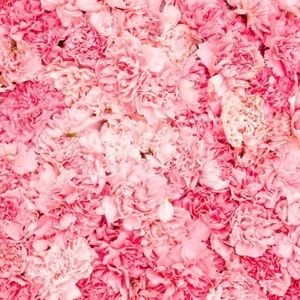 ♡ Jean/Sweater Bundle ♡