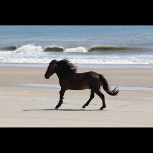 Meet your Posher, Lynn