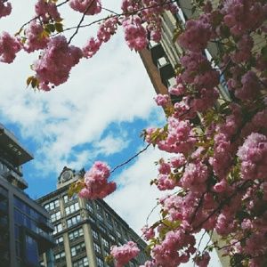 Meet your Posher, Sumin