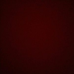 Meet your Posher, Ana